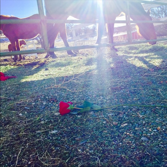 ForTheLoveOfAsh🌹💙 - Picture 3 of 4